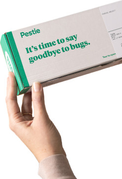 Pestie shipping box being held