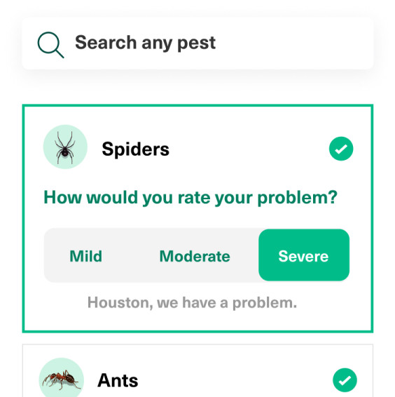 List of selected pests with spider selected showing a severity slector