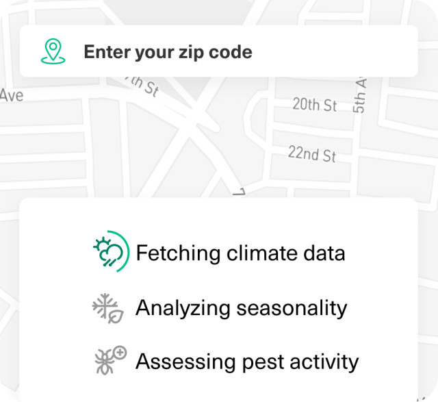Street map with details