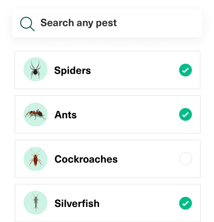 Street map with details