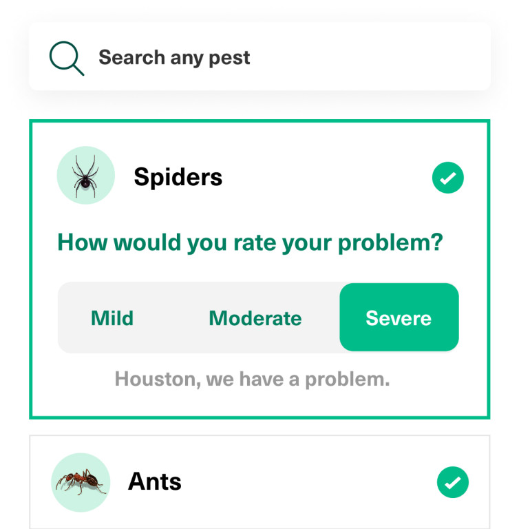 Street map with details