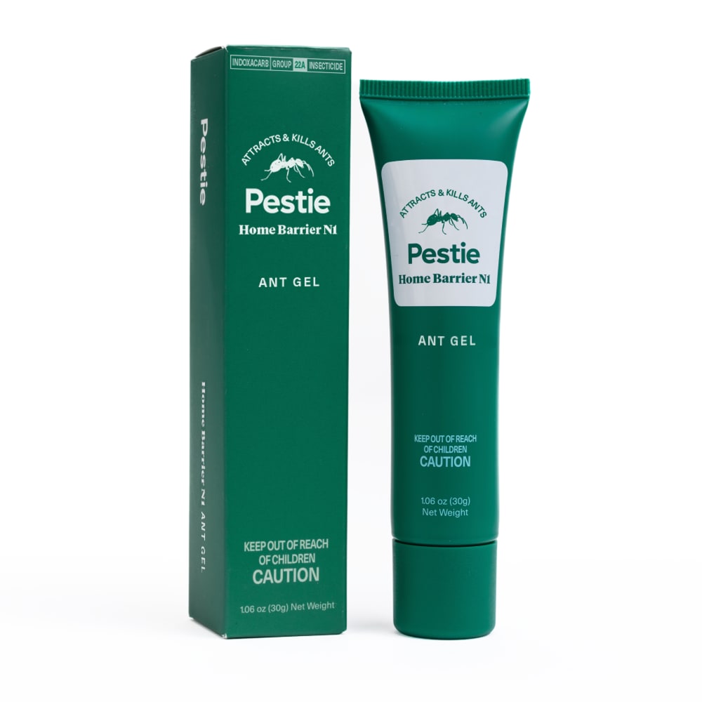 Pestie Home Barrier N1 Ant Gel applicator