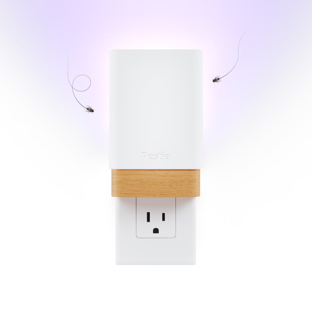 A product shot of Pestie's Flying Insect Trap.