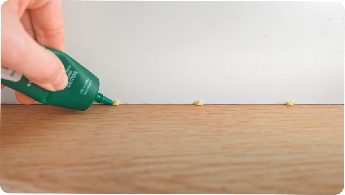 Pestie application near an indoor baseboard.