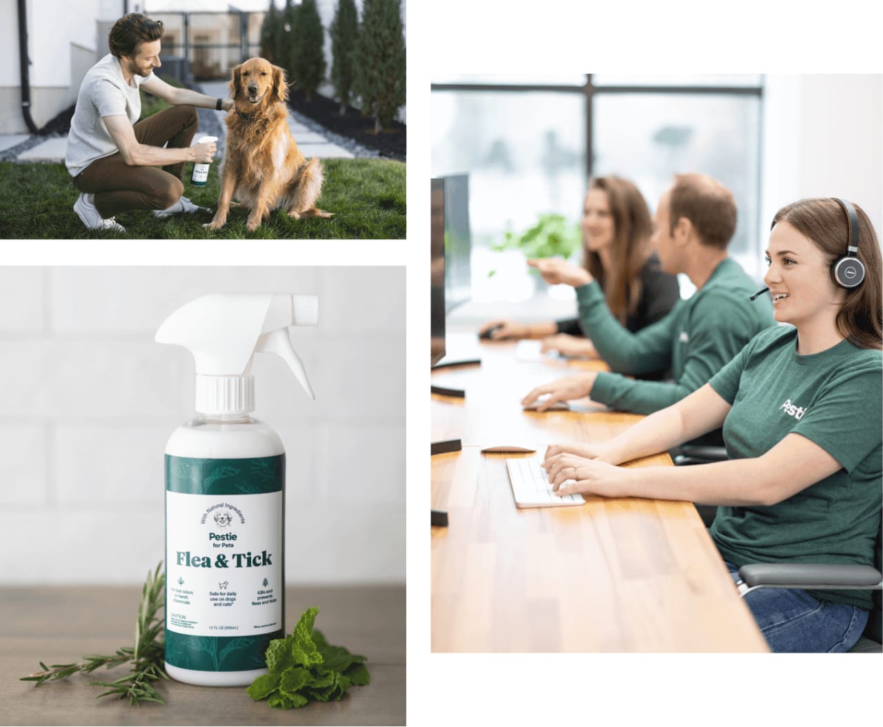 Collage of people on computers, spraying Pestie for Pets on a dog, and a bottle of Pestie for pets on a counter.