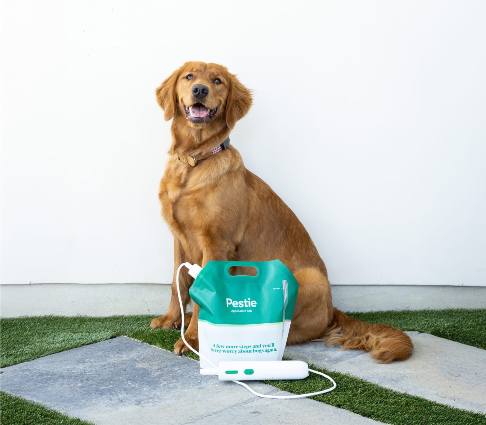 Dog sitting next to a Pestie application