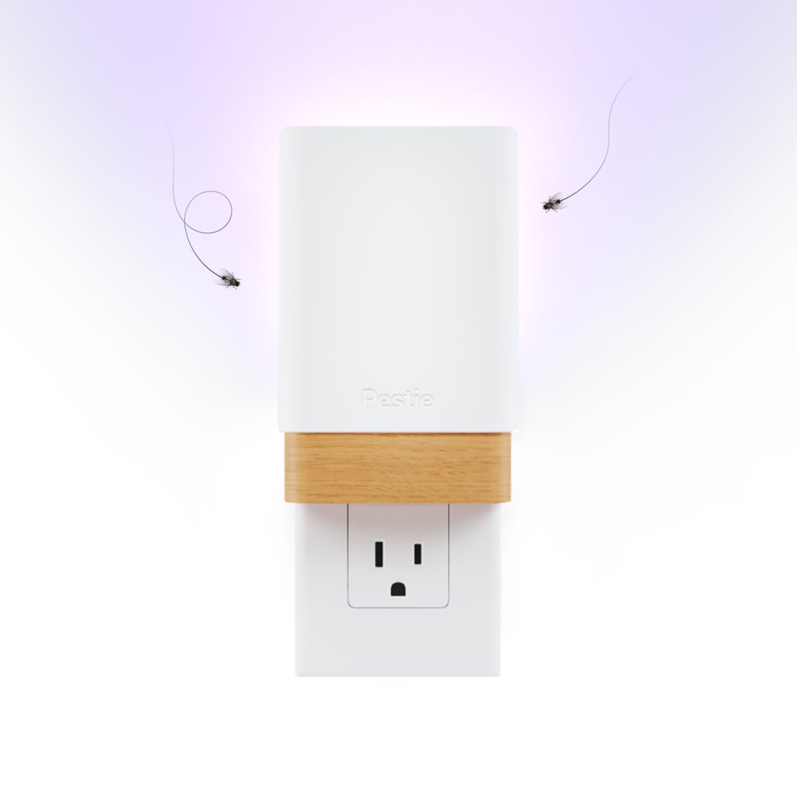A product shot of Pestie's Flying Insect Trap.