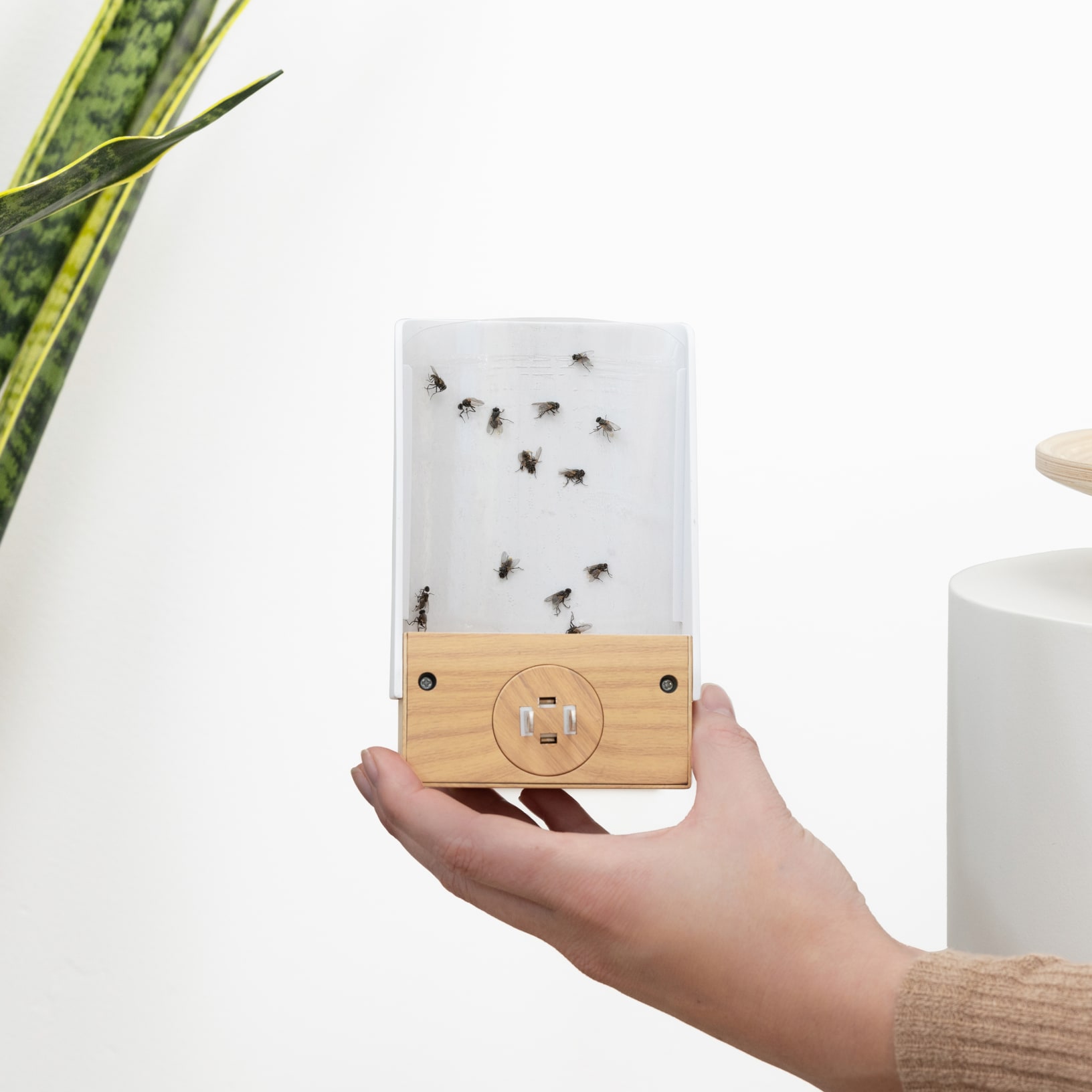 Pestie's Flying Insect Trap with flies on the back.