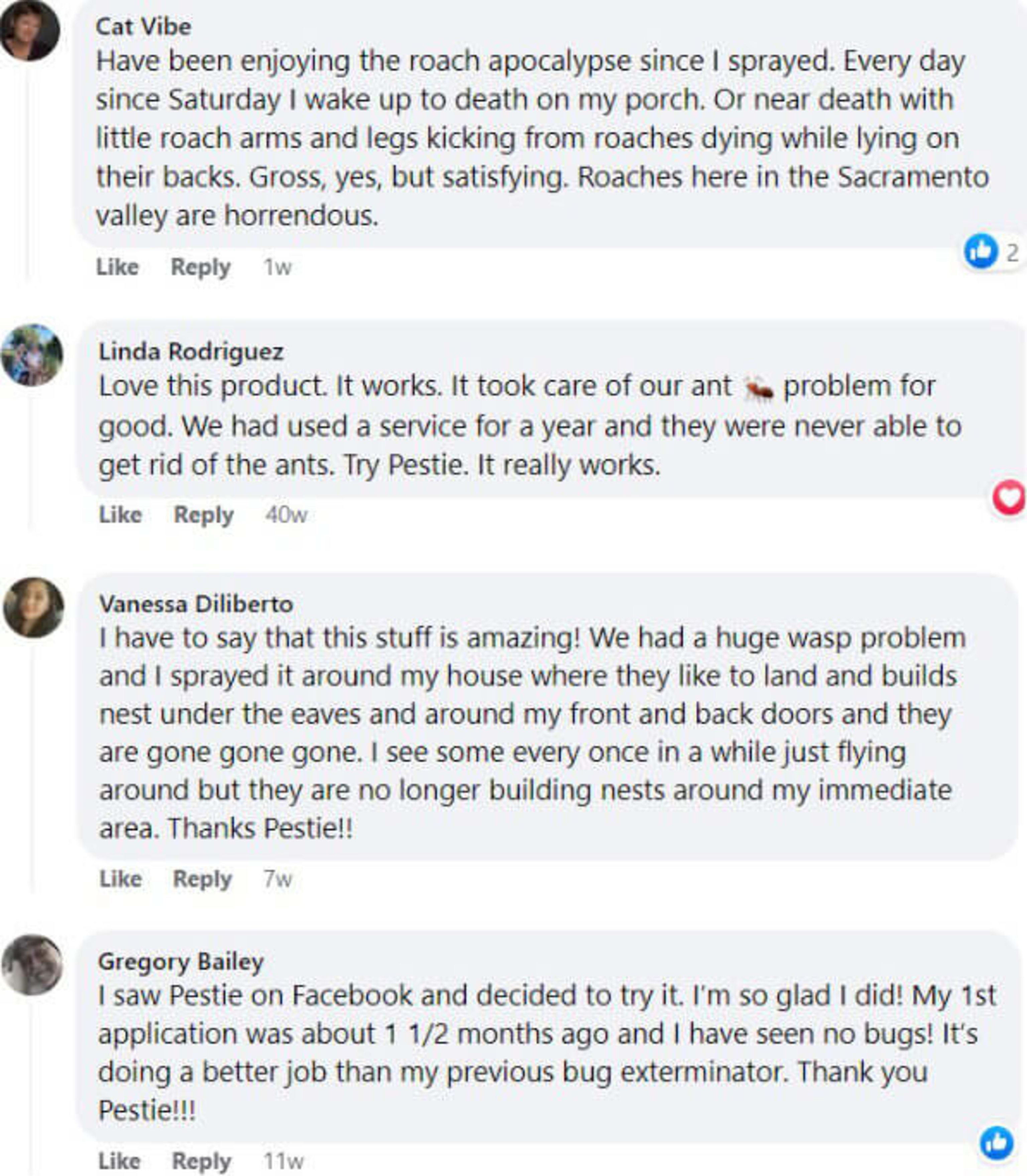 Facebook comments with positive reviews of Pestie.