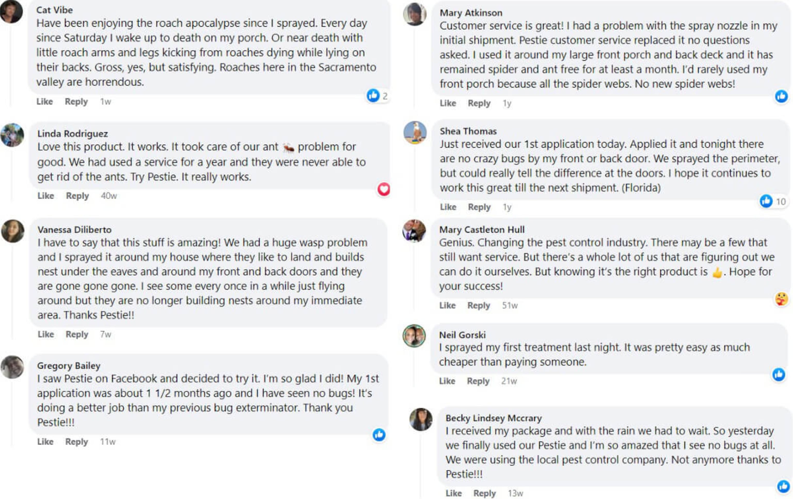 Facebook comments with positive reviews of Pestie.