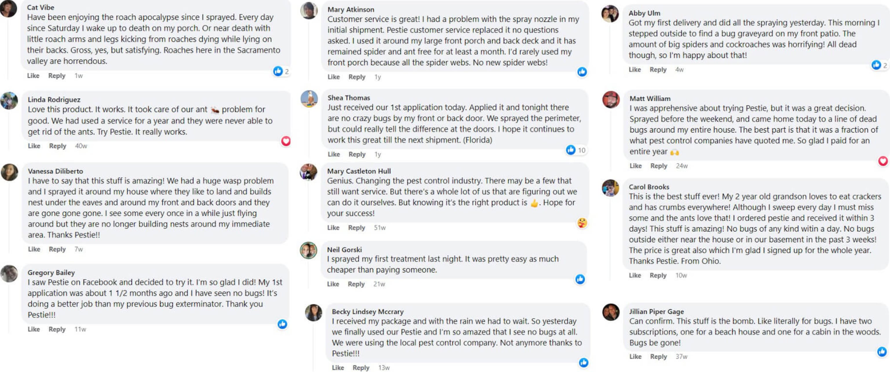 Facebook comments with positive reviews of Pestie.