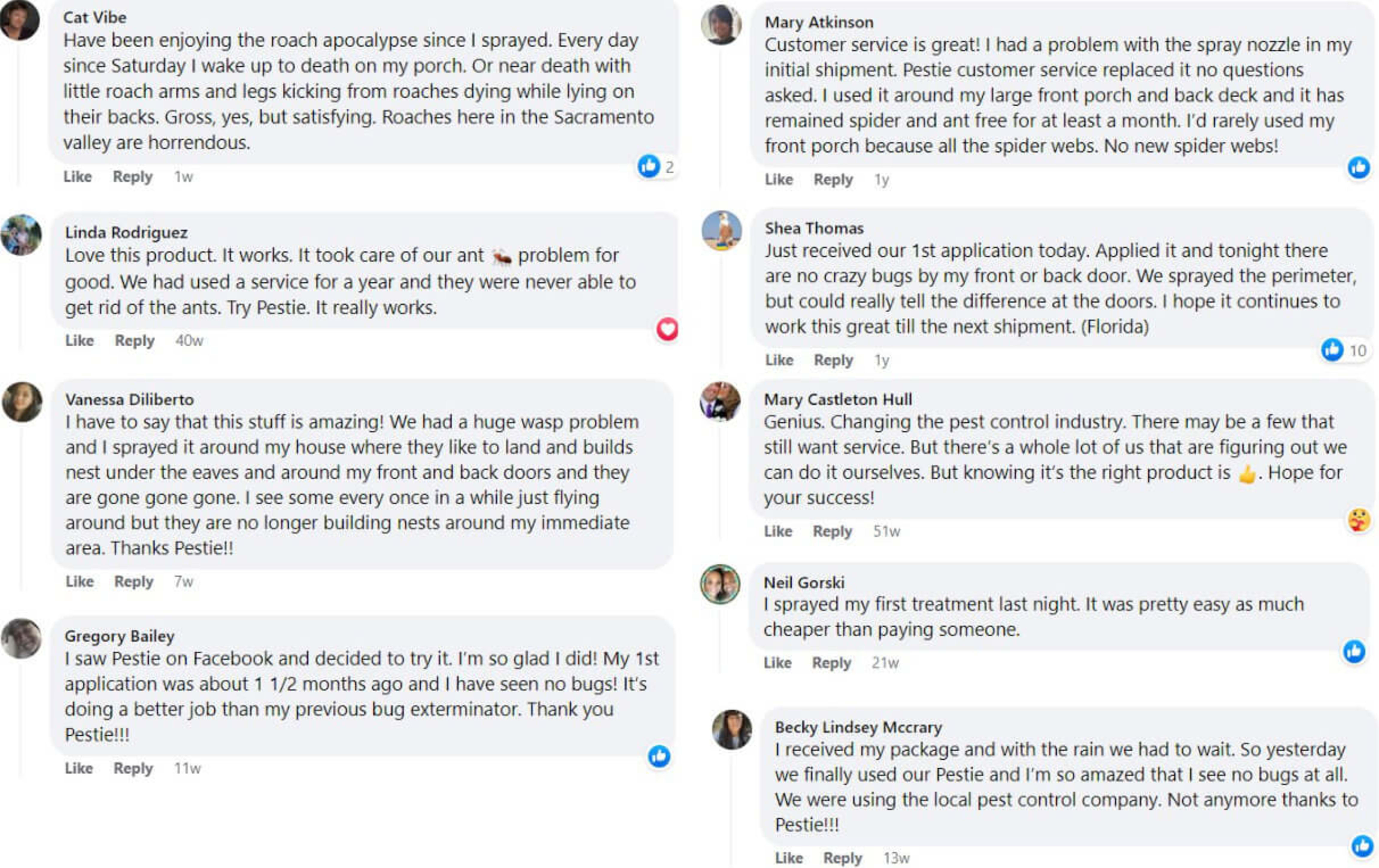 Facebook comments with positive reviews of Pestie.