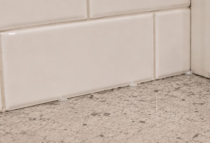 Ant gel bait being placed where a countertop meets a wall.