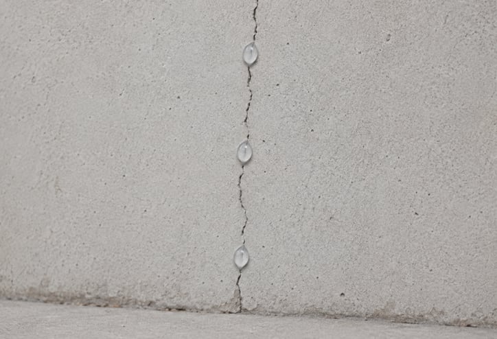 Ant gel bait being placed in cracks and crevices.