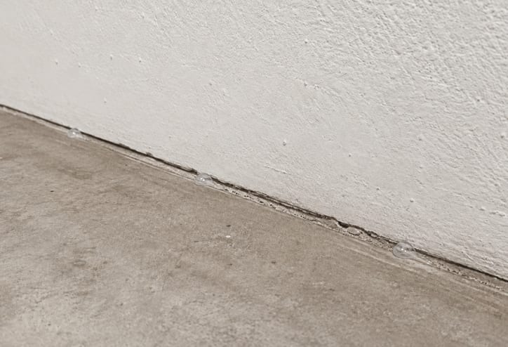 Ant gel bait being placed in a utility, laundry, or garage area.
