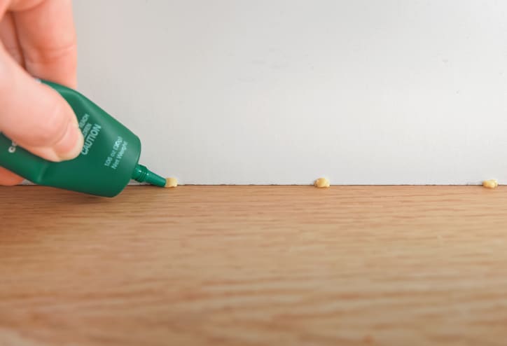 Gel bait being placed along baseboards.