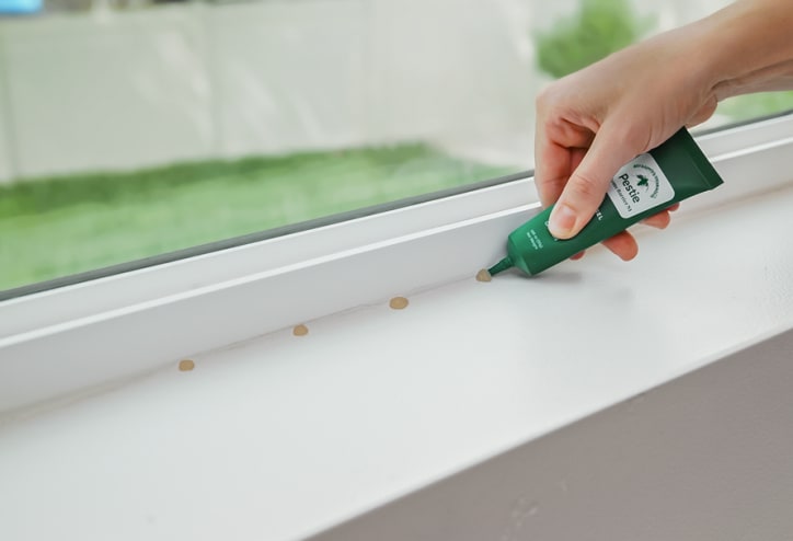 Gel bait being placed around a window.