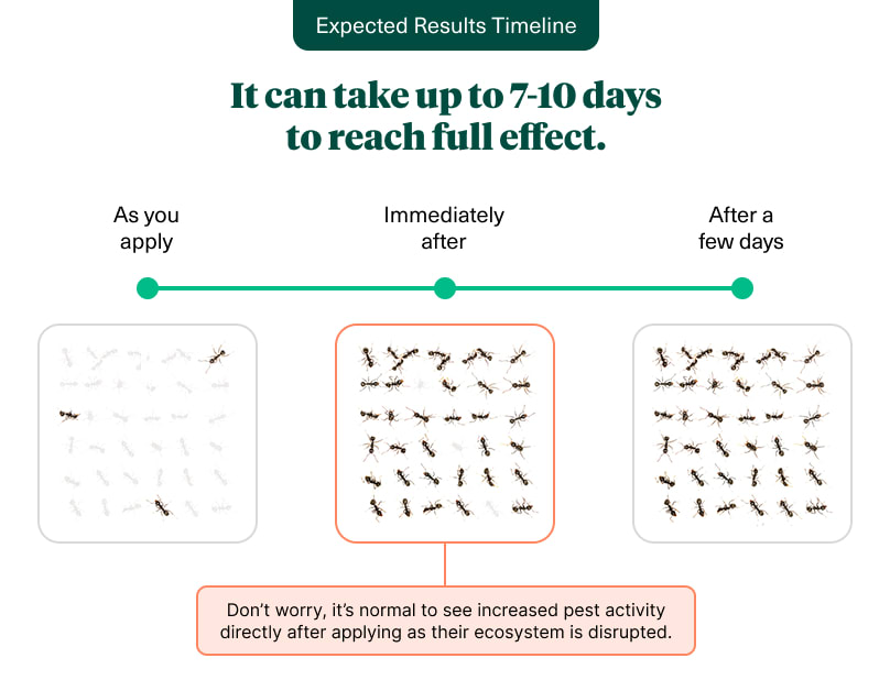 Pestie's Smart Pest Plan takes up to 7-10 days to reach full effect.