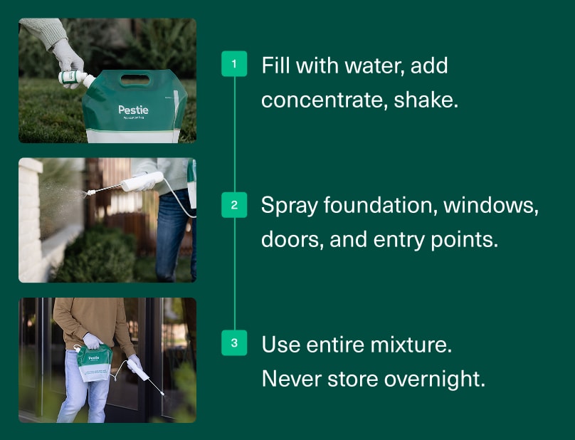 A list of simplified application instructions for Pestie's Smart Pest Plan.
