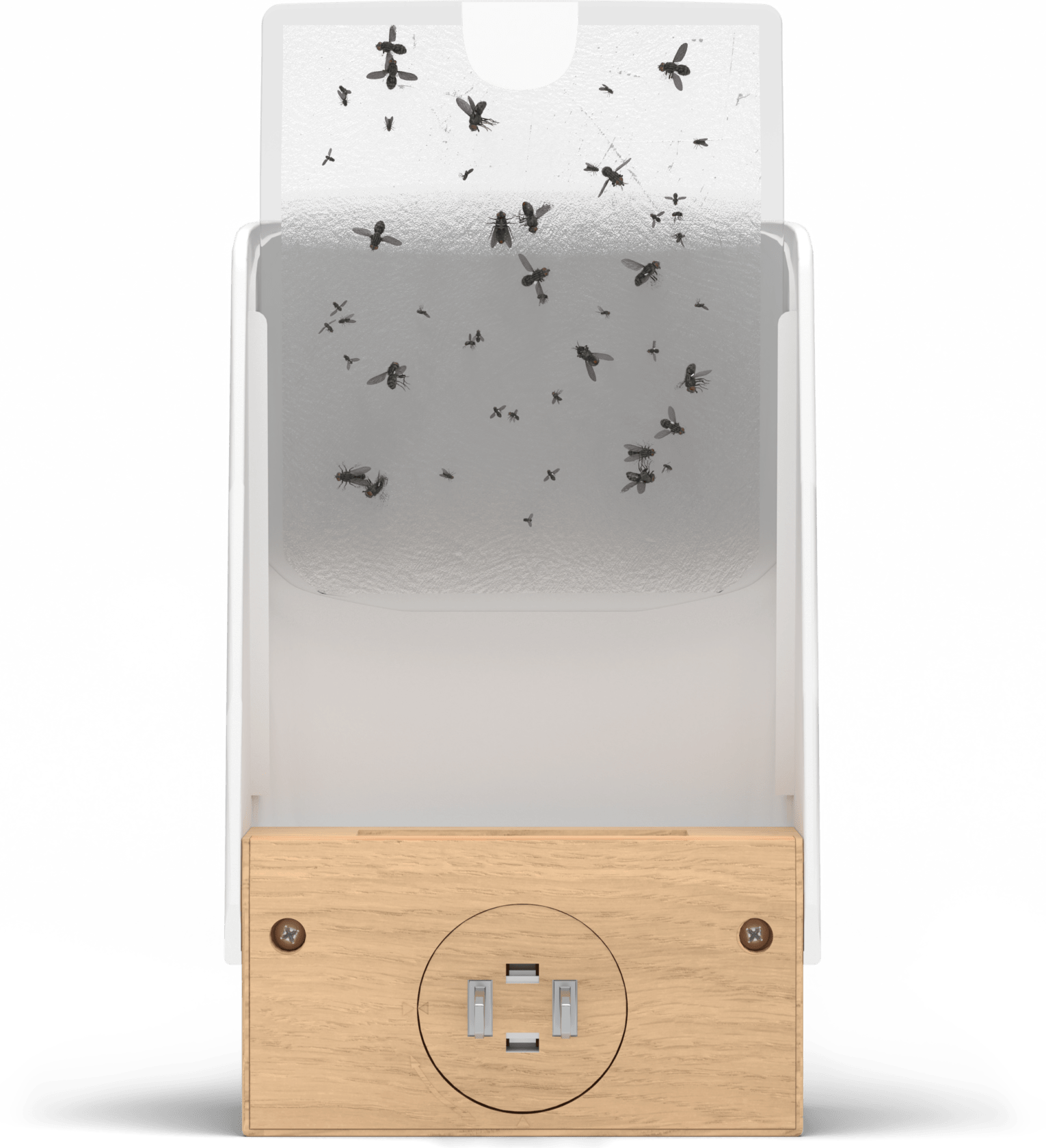 Back of the flying insect trap with flies on sticky pad