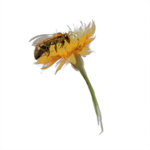 Animated image of a bee on a flower.