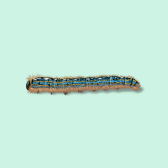 Illustration of Forest Tent Caterpillar